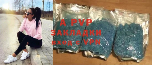 apvp Верея